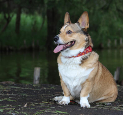 Alex Martinez avatar