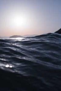 Maya Chen profile photo