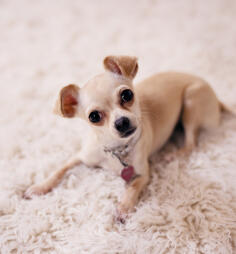 Alex Martinez avatar