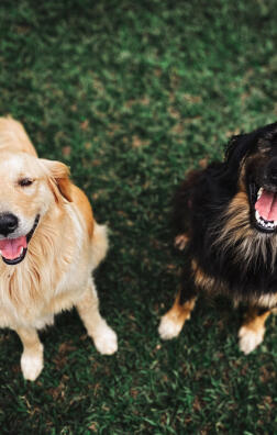 Alex Martinez avatar