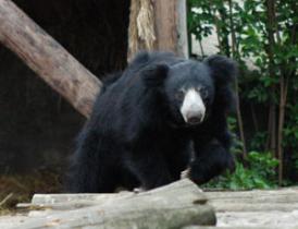 Maya Chen profile photo