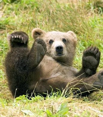 Alex Martinez avatar