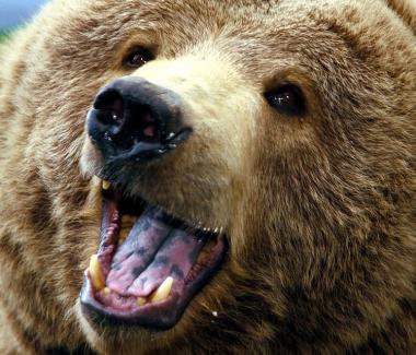 Jonas Richter profile photo