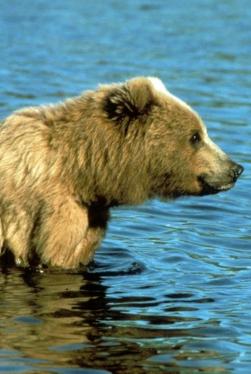 Maya Chen profile photo