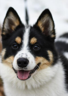 Maya Chen profile photo