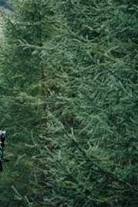 Alex Martinez avatar