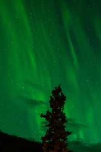 Alex Martinez avatar