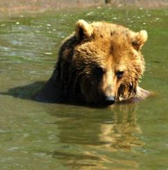 Maya Chen profile photo