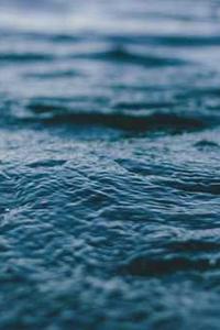 Jonas Richter profile photo